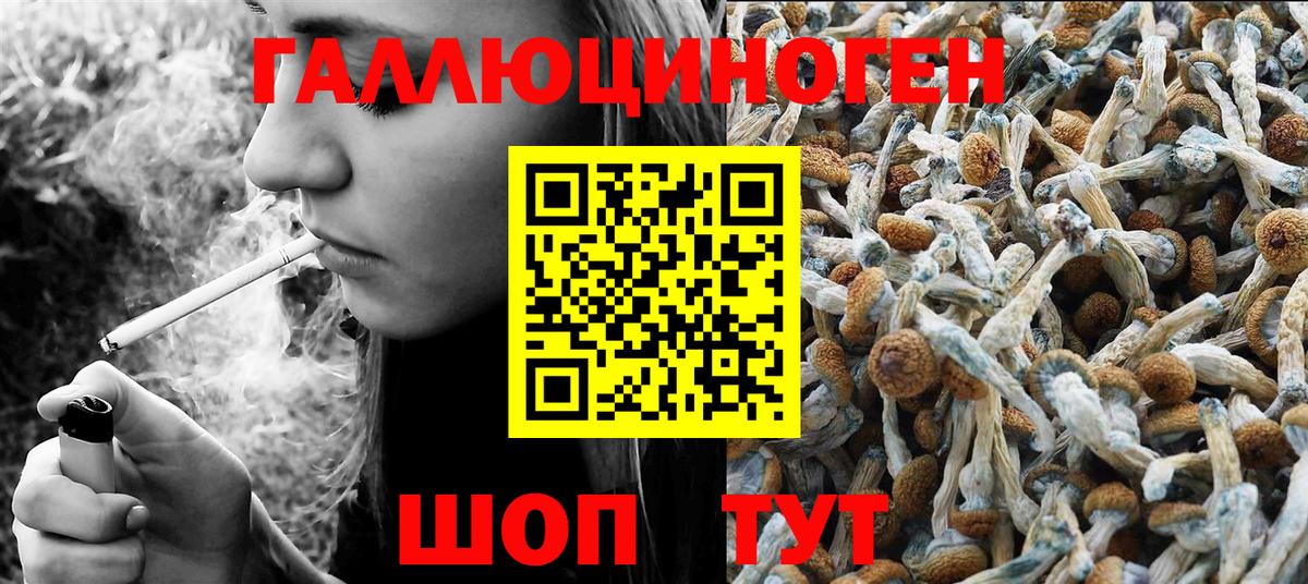 Псилоцибиновые грибы Magic Shrooms Знаменск